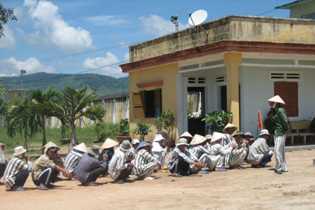 769 phạm nhân trại giam Gia Trung được giảm án ảnh 1