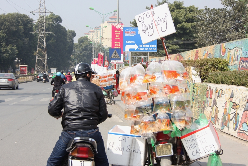 Rộn ràng tiễn ông Công, ông Táo ảnh 1