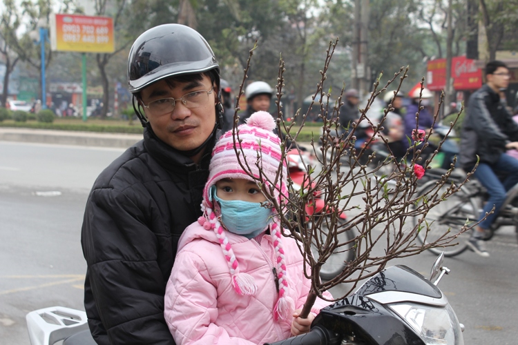Náo nức đào, quất ảnh 1