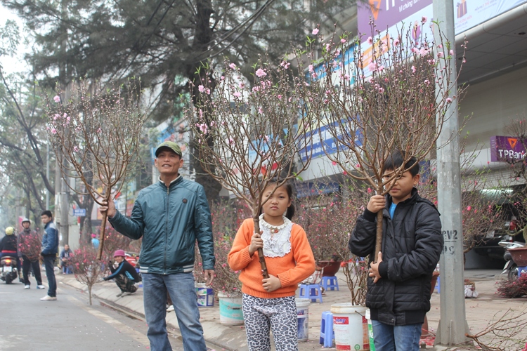 Náo nức đào, quất ảnh 5