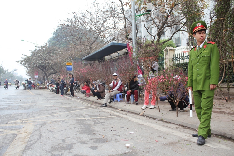 Náo nức đào, quất ảnh 6
