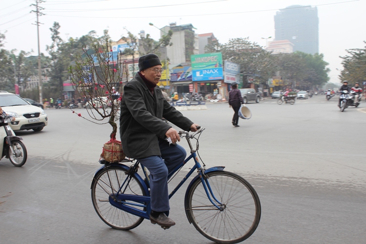 Náo nức đào, quất ảnh 21