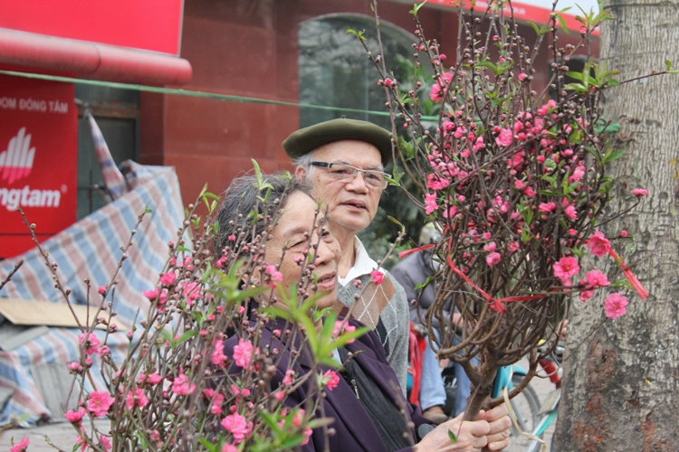 Hoa Tết giảm nhiệt ảnh 1