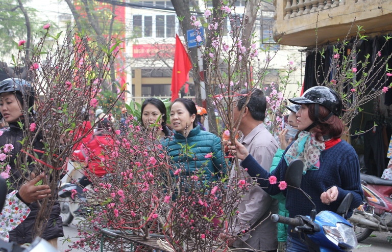 Hoa Tết giảm nhiệt ảnh 2