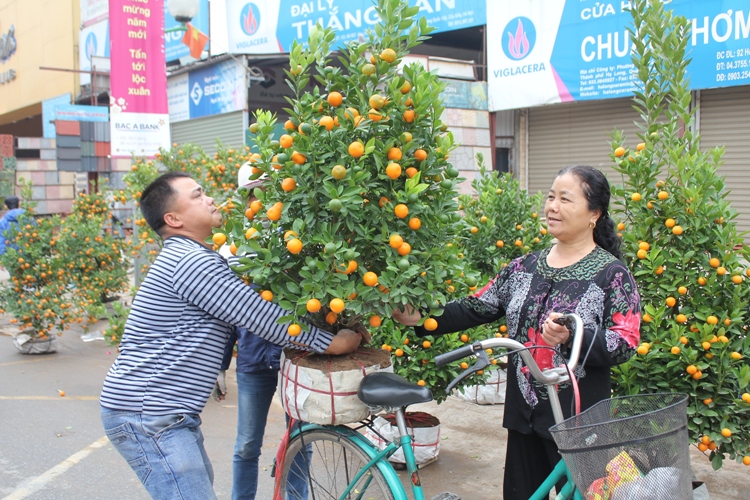 Hoa Tết giảm nhiệt ảnh 4
