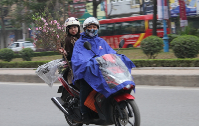 Hoa Tết giảm nhiệt ảnh 5