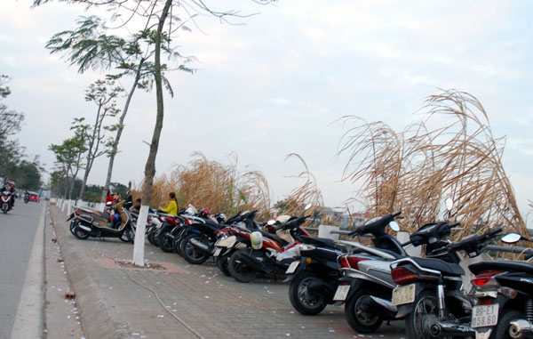 Nhộn nhạo giá trông xe ngày Tết ảnh 4