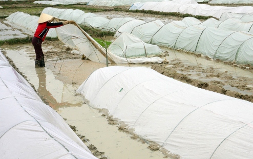 Lạnh tăng cường, miền Bắc tiếp tục rét đậm, rét hại ảnh 1