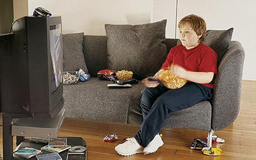 TV, xe hơi, máy tính và béo phì ảnh 1