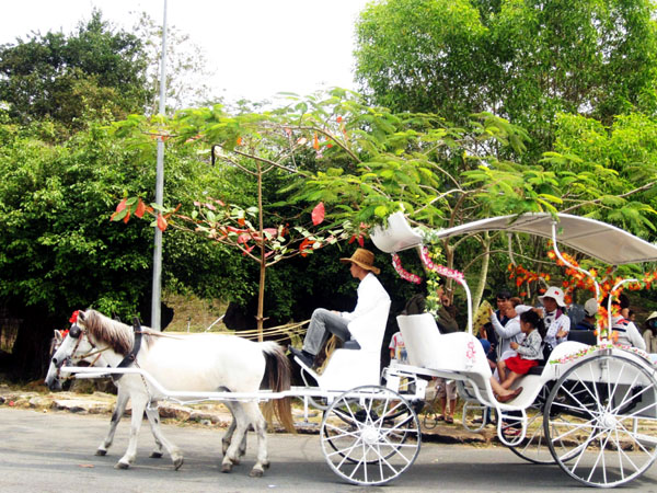 Lên Núi Lớn cưỡi ngựa ảnh 1