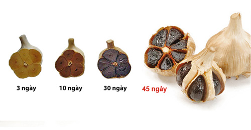 Tỏi Việt Nam “lên bàn ăn thế giới” ảnh 1