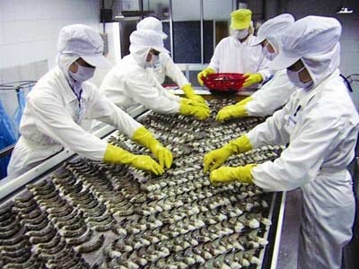 Xuất khẩu tôm - cơ hội và thách thức ảnh 1