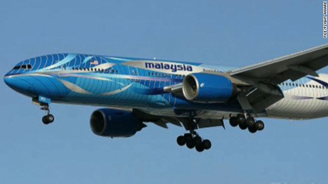 Chuyên gia phân tích số phận máy bay Malaysia mất tích ảnh 1
