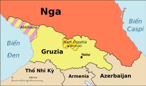 NATO sẽ kết nạp Gruzia nếu Crimea sáp nhập Nga ảnh 1