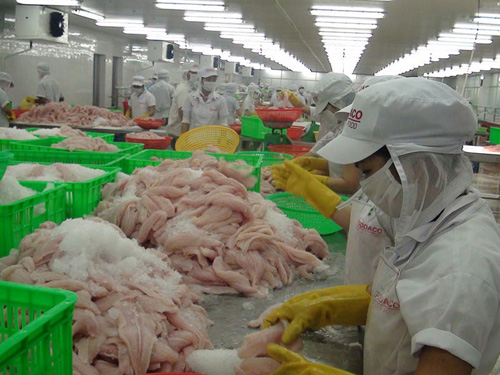 Cá tra Việt Nam đáp ứng yêu cầu chất lượng khắt khe ảnh 1