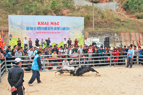 Chọi dê ở Hoàng Su Phì ảnh 1