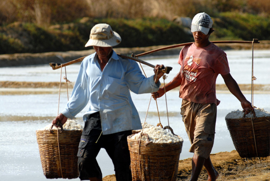 Phát triển và bảo tồn nghề muối tại huyện Cần Giờ ảnh 2