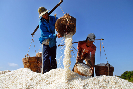 Phát triển và bảo tồn nghề muối tại huyện Cần Giờ ảnh 4