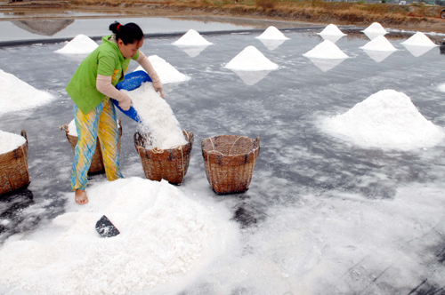 Phát triển và bảo tồn nghề muối tại huyện Cần Giờ ảnh 9