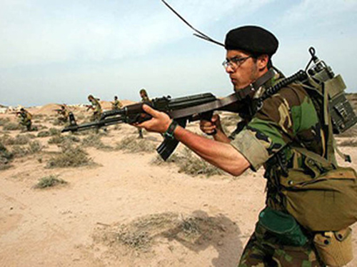 Iran tập trận quy mô lớn ảnh 1