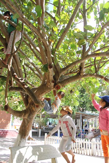 Bình yên cuộc sống Trường Sa ảnh 7