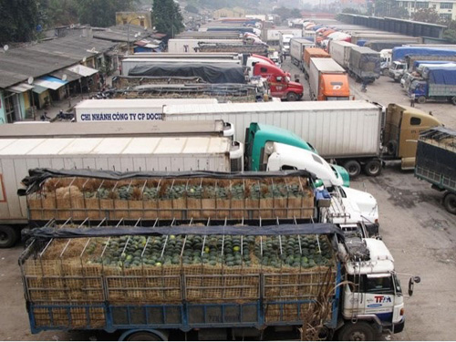 Phát triển lành mạnh dịch vụ vận tải ảnh 1