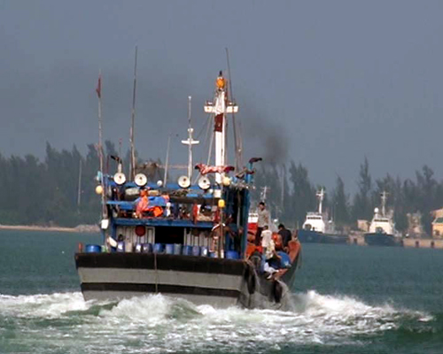 Vươn khơi, bám biển - Ngư dân không một ngày xa biển ảnh 1