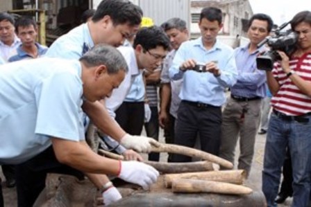 Trao giải 'Thanh thiếu nhi với bảo vệ động vật hoang dã' ảnh 1