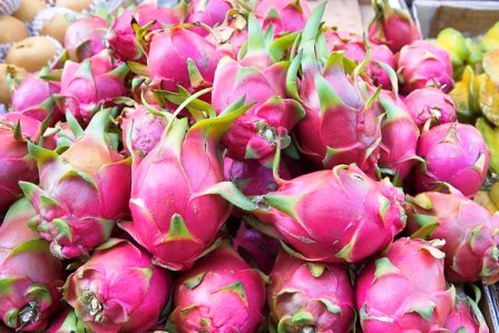 Việt Nam là nước duy nhất xuất khẩu thanh long sang New Zealand ảnh 1