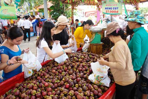Phát huy thế mạnh cây ăn quả ảnh 1