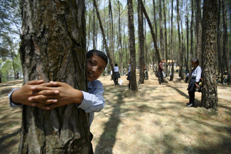 Ôm cây... bảo vệ môi trường tại Nepal ảnh 1