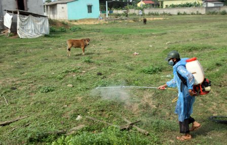 Kon Tum xuất hiện ổ dịch lở mồm long móng trên gia súc ảnh 1