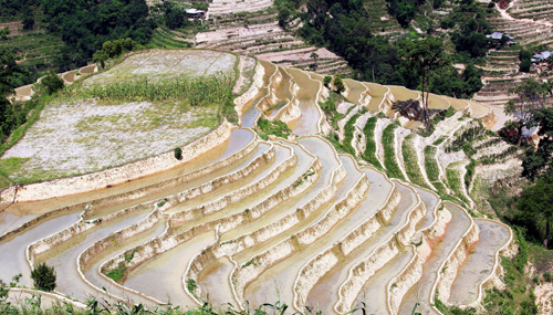 Vẻ đẹp ruộng bậc thang Hoàng Su Phì mùa đổ nước ảnh 1