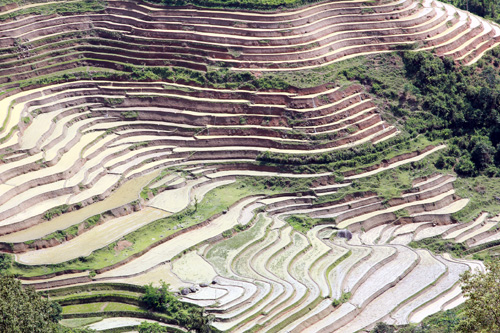 Vẻ đẹp ruộng bậc thang Hoàng Su Phì mùa đổ nước ảnh 2