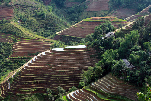 Vẻ đẹp ruộng bậc thang Hoàng Su Phì mùa đổ nước ảnh 9