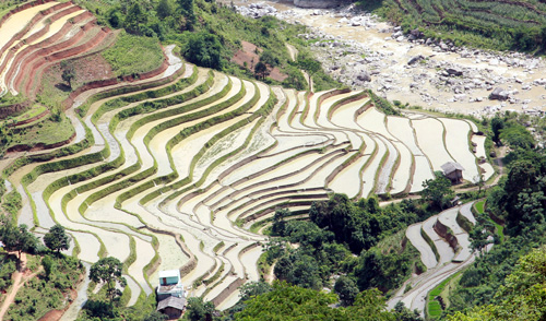 Vẻ đẹp ruộng bậc thang Hoàng Su Phì mùa đổ nước ảnh 7