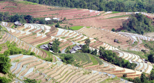 Vẻ đẹp ruộng bậc thang Hoàng Su Phì mùa đổ nước ảnh 5