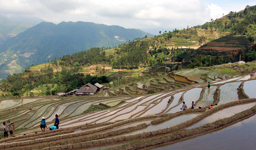 Vẻ đẹp ruộng bậc thang Hoàng Su Phì mùa đổ nước ảnh 4