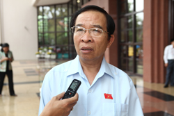 Cần lộ trình tái canh cây cà phê ảnh 1
