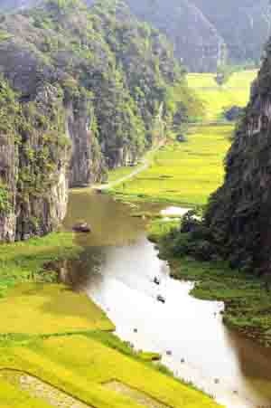 Mùa vàng trên “Hạ Long cạn” ảnh 5