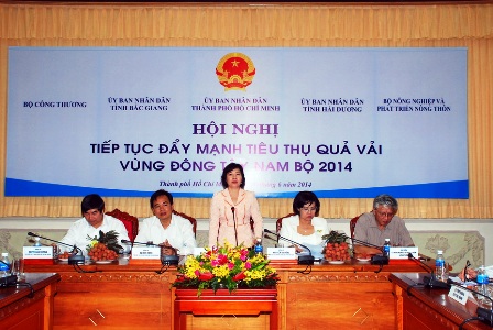 TP Hồ Chí Minh có sức mua 45.000 tấn vải quả ảnh 1