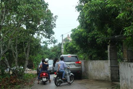 Về thăm cây vải tổ Thanh Hà ảnh 1