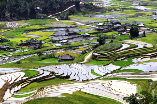 Ruộng bậc thang mùa đổ nước ảnh 1