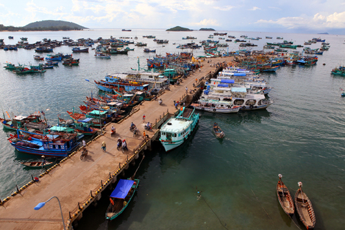 Ngư dân trả lãi ngân hàng bằng... ghẹ ảnh 1