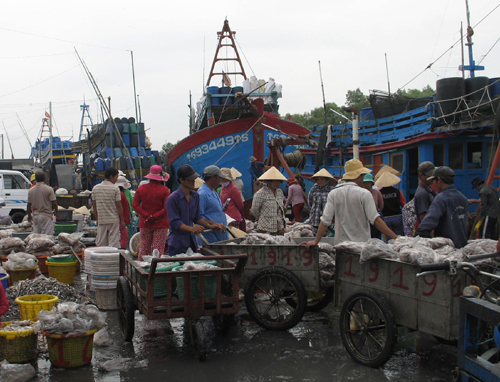 Gò Công Đông phát triển kinh tế biển ảnh 1