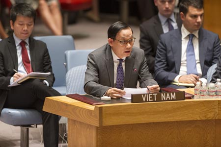 Có 3 người Việt Nam trên máy bay MH17 bị rơi ảnh 1
