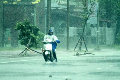 Bão số 2 gây gió mạnh và mưa lớn tại Quảng Ninh ảnh 1