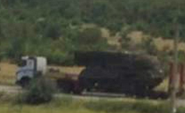 Khoảnh khắc tên lửa bắn trúng MH17 ảnh 3