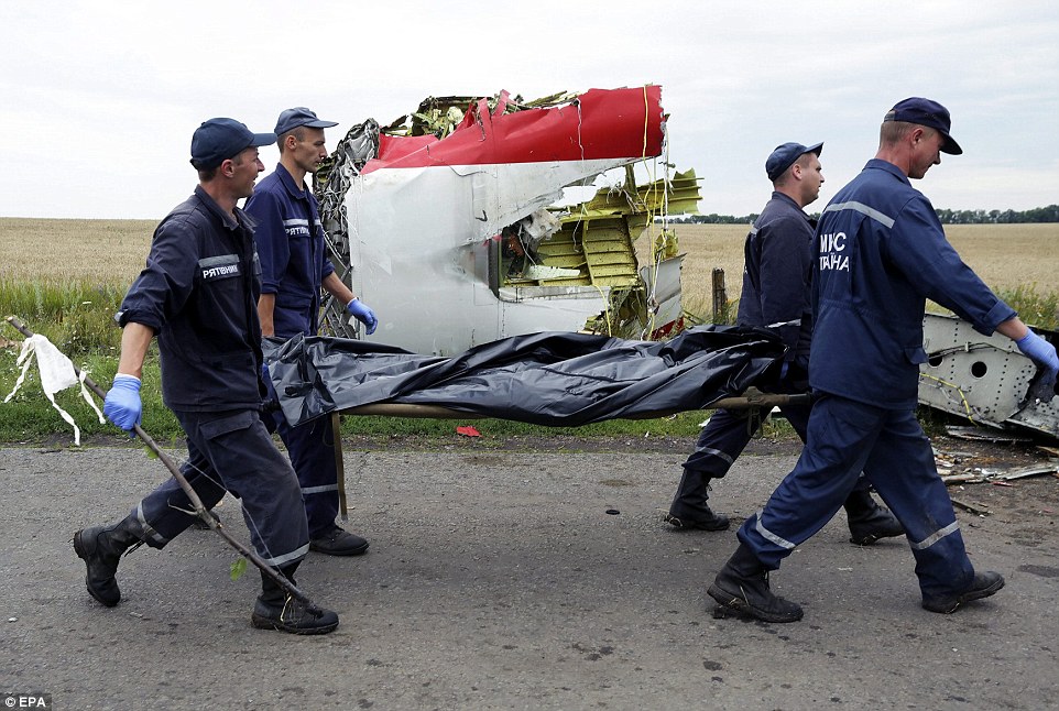 Tìm được 196 thi thể nạn nhân vụ máy bay MH17 ảnh 1