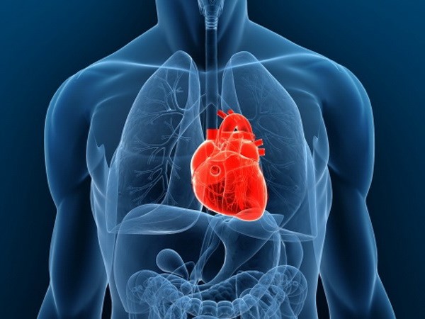Ghép tim nhân tạo thành công cho trẻ vị thành niên ảnh 1
